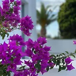 Dl Santorini Monolitos