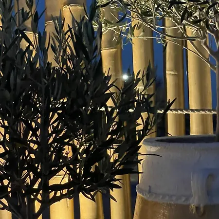 Hotel Hermoso Luxury