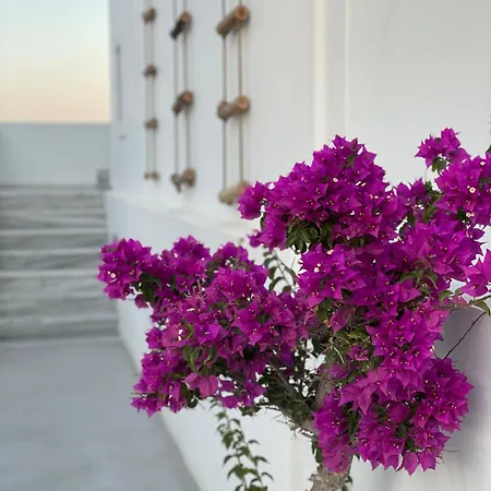 ホテル Dl Santorini