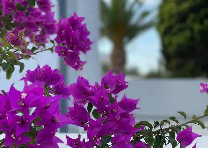 DL Santorini Monolithos